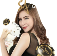 sa gaming banner